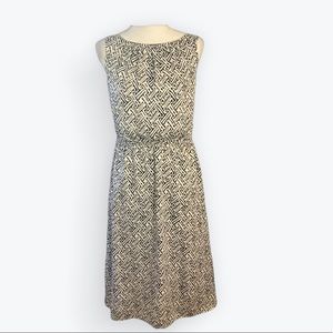 EUC The Limited Navy and White Midi Dres